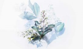 evie-shaffer-501641-unsplash masterstudy_placeholder